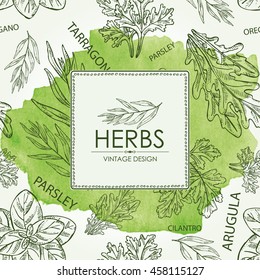 Watercolor background with herbs. arugula, cilantro, tarragon, oregano, parsley. hand drawn