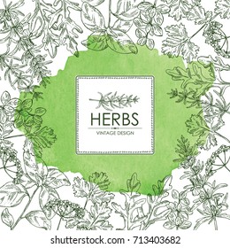 Watercolor background with herbs: arugula, rosemary, basil, cilantro and marjoram. Vector hand drawn illustration