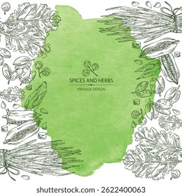 Fundo aquarela com ervas e especiarias: folhas de couve, sementes de gergelim, chalota, pimenta sichuan. Ilustração desenhada à mão vetorial.