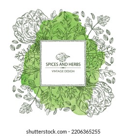 Watercolor background with herbs and spices: leaves and arugula, spinach, dill leaves and seeds and parsley. Vector hand drawn illustration.