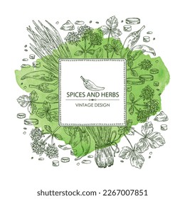 Watercolor background with herbs and spices: leaves and flowers of origanum vulgare, shallot, cayenne pepper and cryptotaenia japonica. Vector hand drawn illustration.