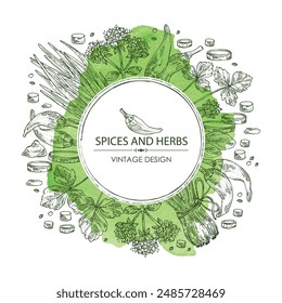 Watercolor background with herbs and spices: leaves and flowers of origanum vulgare, shallot, cayenne pepper and cryptotaenia japonica. Vector hand drawn illustration.