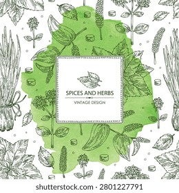 Watercolor background with herbs and spices: shallots, perilla, origanum vulgare, long pepper. Vector hand drawn illustration.