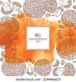 Watercolor background with hericium erinaceus: piece of lion's mane mushroom, hericium erinaceus mushrooms. Vector hand drawn mushroom illustrations