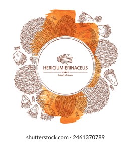 Fondo de acuarela con hericium erinaceus: pedazo del hongo de la melena del león, hongos de hericium erinaceus. Vector dibujado a mano ilustraciones de hongos