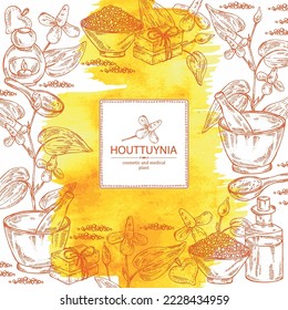 Watercolor background with houttuynia: houttuynia flowers and leaves. Houttuynia cordata, Oil, soap and bath salt . Cosmetics and medical plant. Vector hand drawn illustration