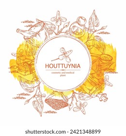 Watercolor background with houttuynia: houttuynia flowers and leaves. Houttuynia cordata, Oil, soap and bath salt . Cosmetics and medical plant. Vector hand drawn illustration