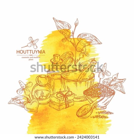 Watercolor background with houttuynia: houttuynia flowers and leaves. Houttuynia cordata, Oil, soap and bath salt . Cosmetics and medical plant. Vector hand drawn illustration