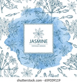 Watercolor background with jasmine: flower and leaves.Cosmetic, perfumery and medical plant. Vector hand drawn illustration