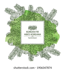 Watercolor background with korean fir: branch of korean fir with abies koreana cone. Cosmetics and medical plant. Vector hand drawn illustration.