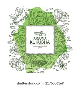Watercolor background with kukubha: kukubha fruits,  arjuna plant and leaves. Terminalia arjuna. Oil, soap and bath salt . Cosmetics and medical plant. Vector hand drawn illustration