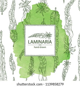 Watercolor background with laminaria: laminaria seaweed, sea kale. Brown algae. Edible seaweed. Vector hand drawn illustration.