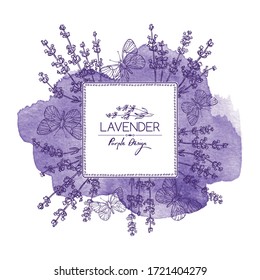 Watercolor background with lavender and butterfly: twig, lavender flowers and leaves. Perfumery, cosmetics and medical plant. Vector hand drawn illustration. 