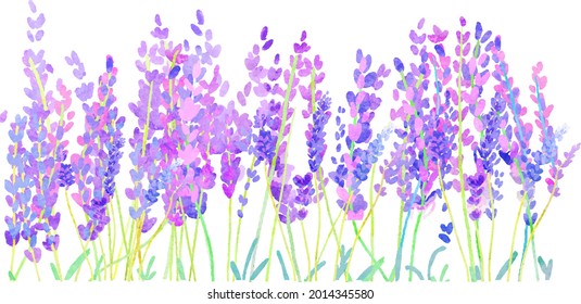 Watercolor Background of Lavender Field