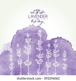 Watercolor Background With Lavender. Hand Drawn