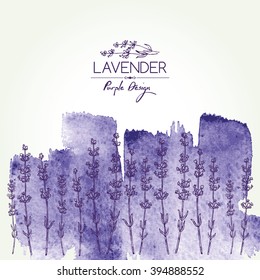 Watercolor background with lavender. hand drawn