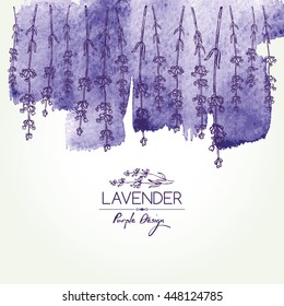 Watercolor background with lavender. hand drawn