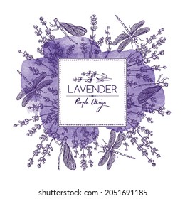 Watercolor background with lavender: twig, lavender flowers, leaves and dragonfly. Perfumery, cosmetics and medical plant. Vector hand drawn illustration