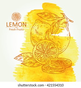 Watercolor background with lemon . hand drawn