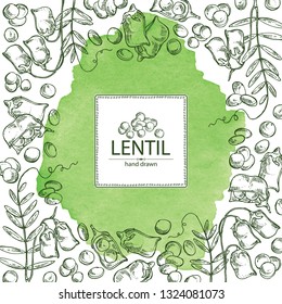 Watercolor background with lentil: leaf, plant, pod and seed of lentil. Vector hand drawn illustration