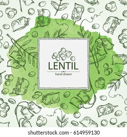 Watercolor background with lentil: leaf, plant, pod and seed of lentil. hand drawn.