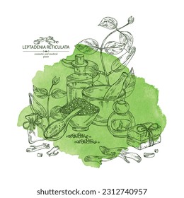 Watercolor background with  leptadenia reticulata: plant, fruits and leptadenia reticulata roots. Oil, soap and bath salt . Cosmetics and medical plant. Vector hand drawn illustration