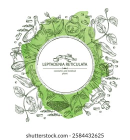 Watercolor background with  leptadenia reticulata: plant, fruits and leptadenia reticulata roots. Oil, soap and bath salt . Cosmetics and medical plant. Vector hand drawn illustration
