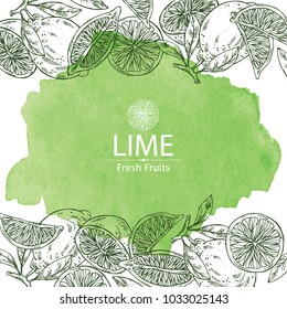 Watercolor background with lime and lime slice. Vector hand drawn illustration