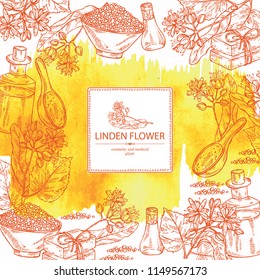 Watercolor background with linden flower: leaves and flowers. Oil, soap and bath salt . Perfumery, cosmetics and medical plant. Vector hand drawn illustration 