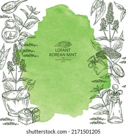 Watercolor background with lofant: lofant plant, leaves, korean mint flowers, bath salt, soap and beauty products. Wrinkle gaint hyssop. Cosmetic, perfumery and medical plant. Vector hand drawn illu
