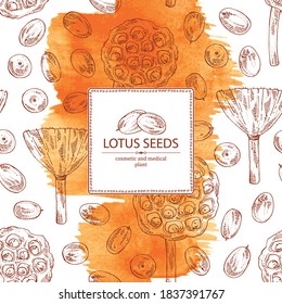 Watercolor background with lotus: lotus seed and fruits. Cosmetic and medical plant. Vector hand drawn illustration. Vector hand drawn illustration.