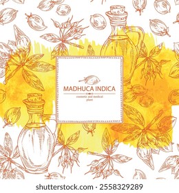 Watercolor background with madhuca indica: madhuca indica plant, leaves, flowers, madhuca indica fruits and bottle of madhuca oil. Vector hand drawn illustration