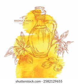 Watercolor background with madhuca indica: madhuca indica plant, leaves, flowers, madhuca indica fruits and bottle of madhuca oil. Vector hand drawn illustration