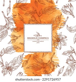 Watercolor background with magnolia champaca: magnolia plant, leaves and magnolia champaca flowers. Cosmetic, perfumery and medical plant. Vector hand drawn illustration