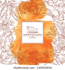 Watercolor background with manihot esculenta: cassava root, tuber, manihot slice and leaves. Vector hand drawn illustration.