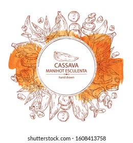Watercolor background with manihot esculenta: cassava root, tuber, manihot slice and leaves. Vector hand drawn illustration.
