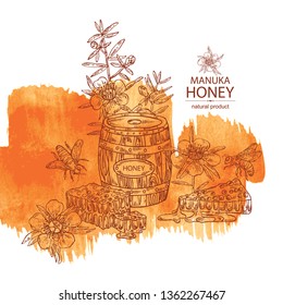 Watercolor background with manuka honey:   flowers of manuka,  jar of honey, honeycomb and a bee. Vector hand drawn illustration.