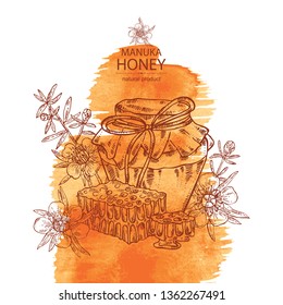 Watercolor background with manuka honey:   flowers of manuka and  jar of honey, honeycomb. Vector hand drawn illustration.