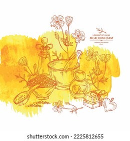 Watercolor background with meadow foam: plant, flowers and leaves. Limnanthes alba. Oil, soap and bath salt . Cosmetics and medical plant. Vector hand drawn illustration