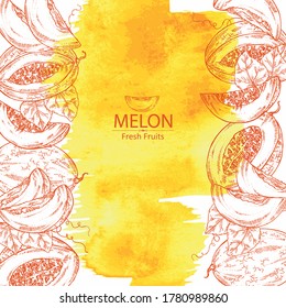 Watercolor background with melon: melon fruit and slice. Vector hand drawn illustration