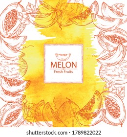 Fondo de color de agua con melón: fruta de melón y rodaja. Ilustración dibujada a mano por el vector