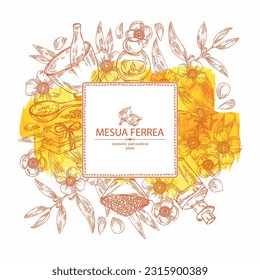 Watercolor background with mesua ferrea: mesua ferrea plant, leaves, mesua ferrea flowers. Oil, soap and bath salt . Cosmetics and medical plant. Vector hand drawn illustration svg