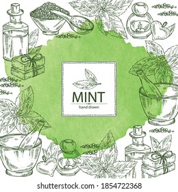 Watercolor background with mint: plant and leaves of peppermint. Oil, soap and bath salt . Cosmetics and medical plant. Vector hand drawn illustration
