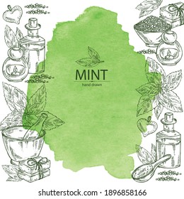 Watercolor background with mint: plant and leaves of peppermint. Oil, soap and bath salt . Cosmetics and medical plant. Vector hand drawn illustration