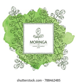 Watercolor background with moringa: plant and leaves. Super food. Vector hand drawn illustration. Watercolor background with moringa: plant and leaves. Super food. Vector hand drawn illustration.