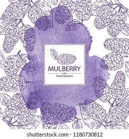 Watercolor background with mulberry: berries and leaves. Vector hand drawn illustration
