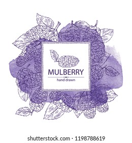 Watercolor background with mulberry: berries and leaves. Vector hand drawn illustration