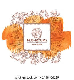 Watercolor background with mushroom: shiitake, muer, straw mushroom cao gu and enokitake. Vector hand drawn illustration