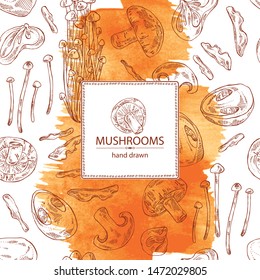 Watercolor background with mushroom: shiitake, muer, straw mushroom cao gu and enokitake. Vector hand drawn illustration