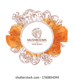 Watercolor background with mushroom: shiitake, muer, straw mushroom cao gu and enokitake. Vector hand drawn illustration